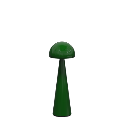 ZANZI — imagem oficial QOOZII