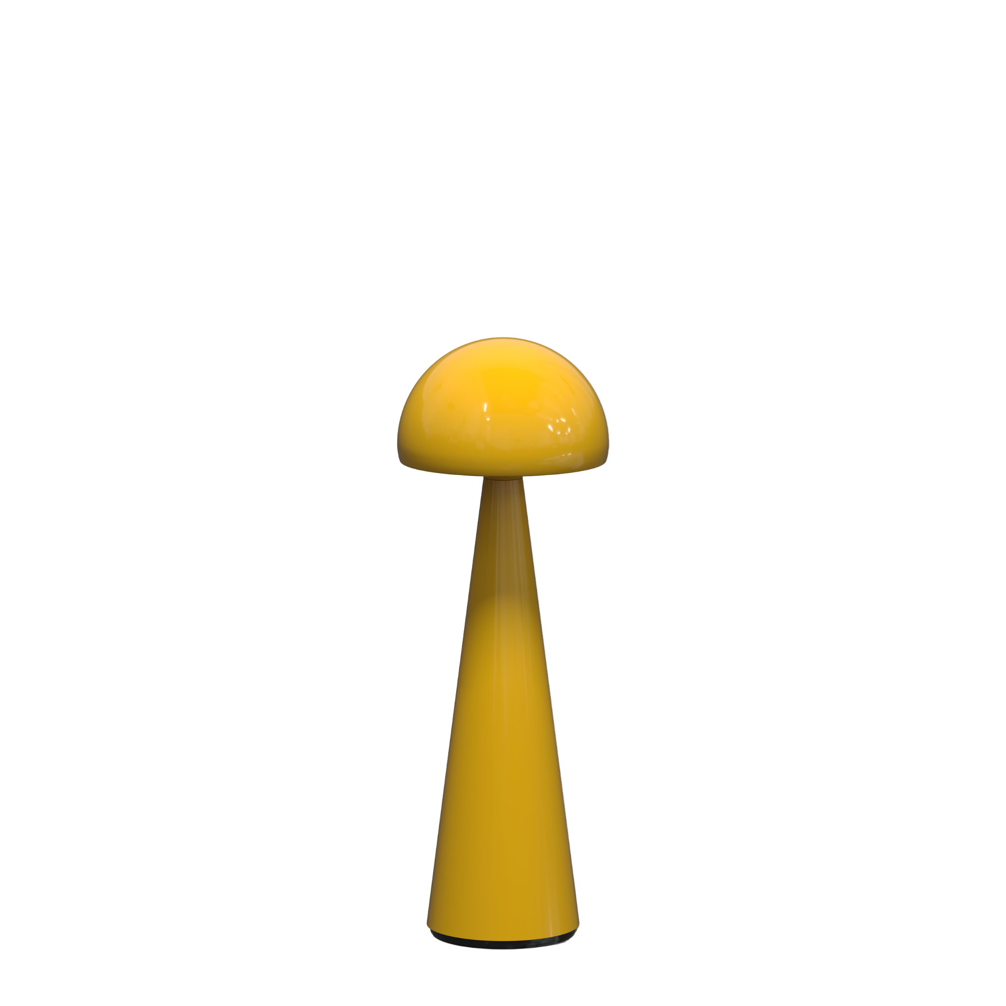 ZANZI — imagem oficial QOOZII